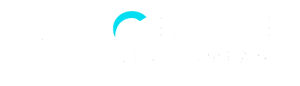 LEV Global Group